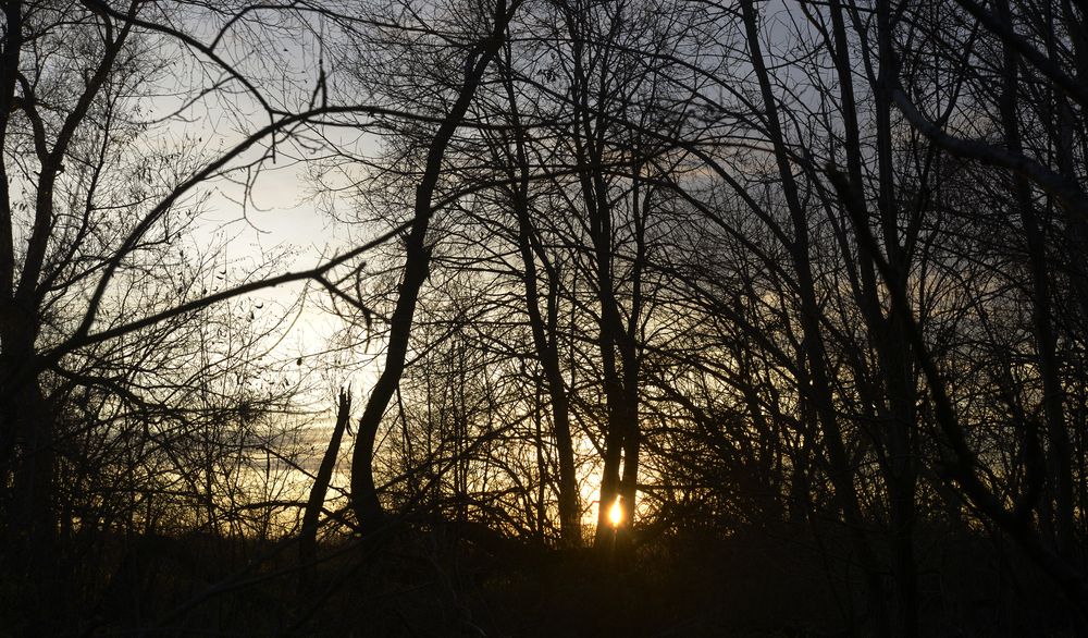 Photograph by Николай Алексеев