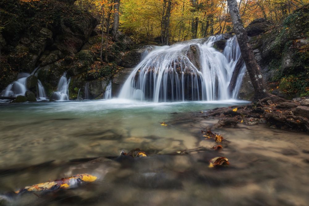 Photograph by Дмитренко Екатерина