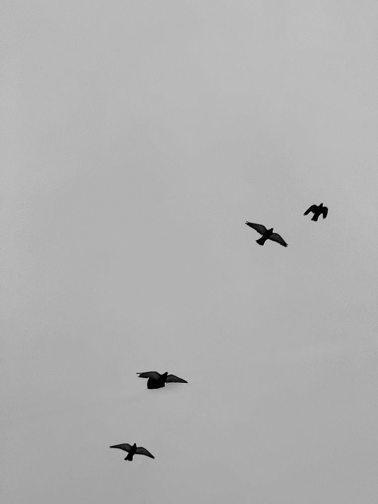 Photograph by Елена Чулюнина