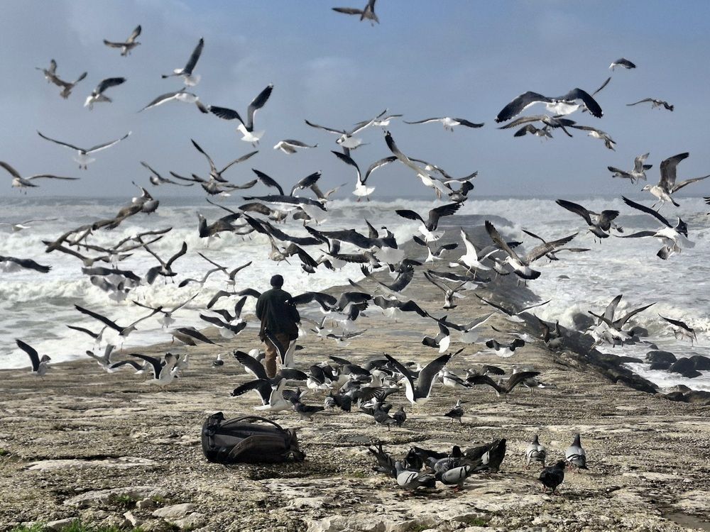 Photograph by Maria Teresa Teixeira de Sousa