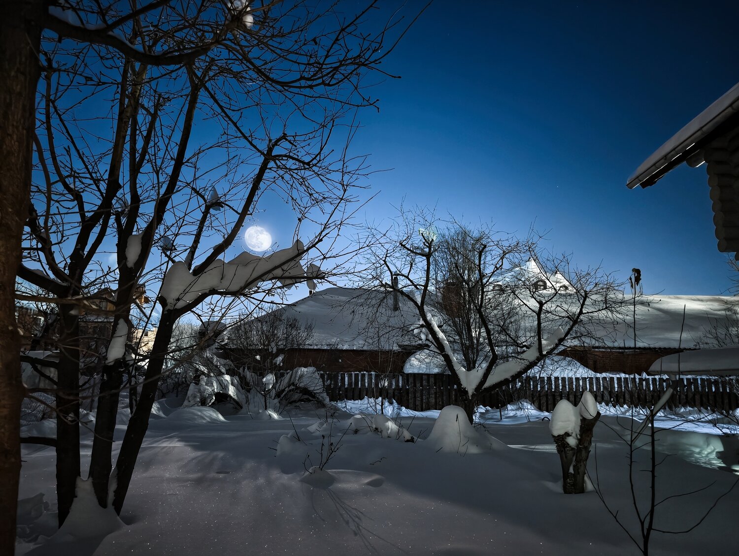 Photo #13260291