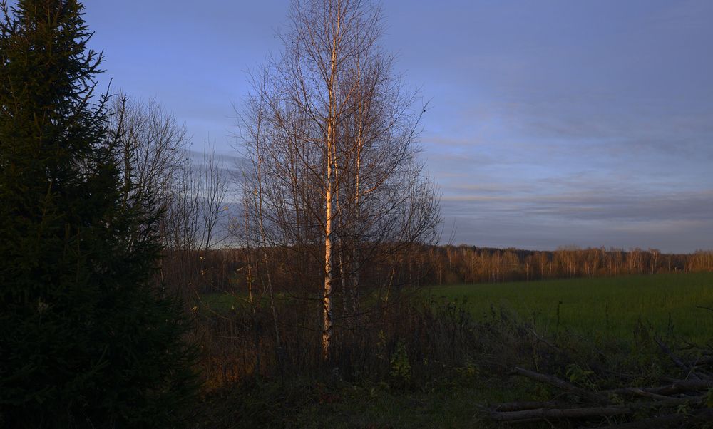 Photograph by Николай Алексеев