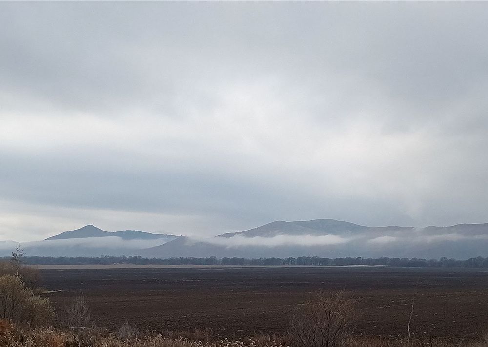 Фотография автора Любовь Сергеева