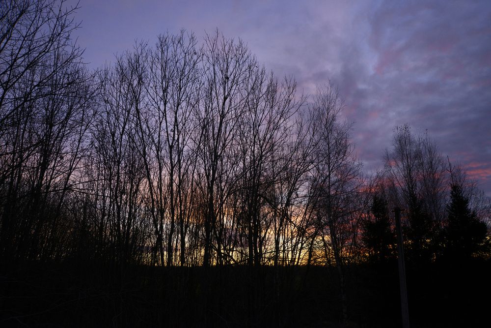 Photograph by Николай Алексеев