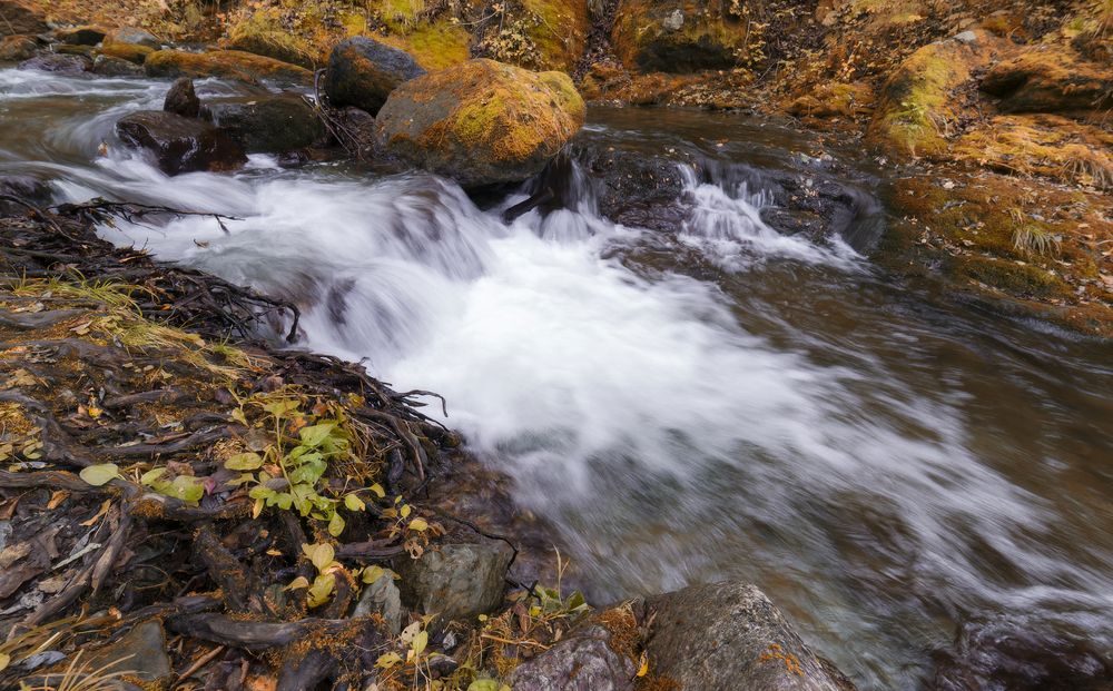 Photograph by Владимир Елькин