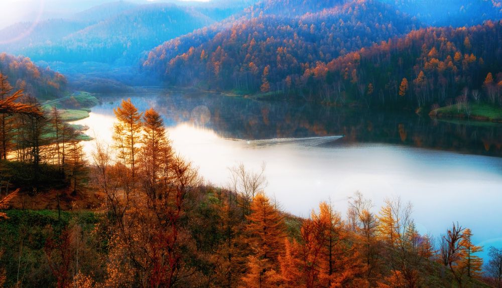 Photograph by Владимир Елькин