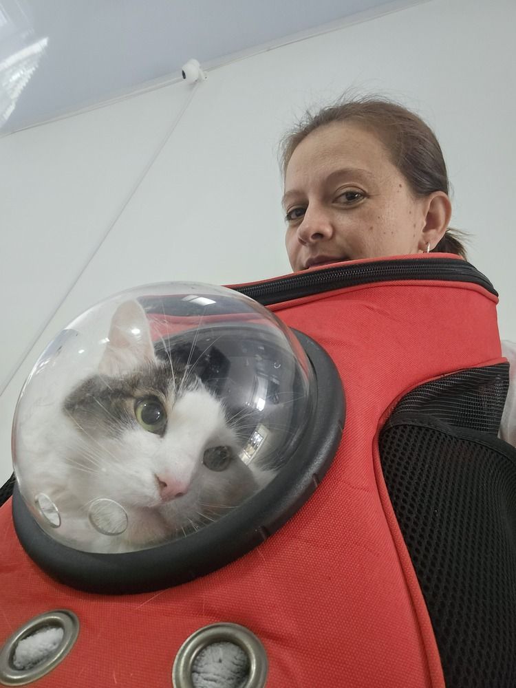 Mushu el astronauta