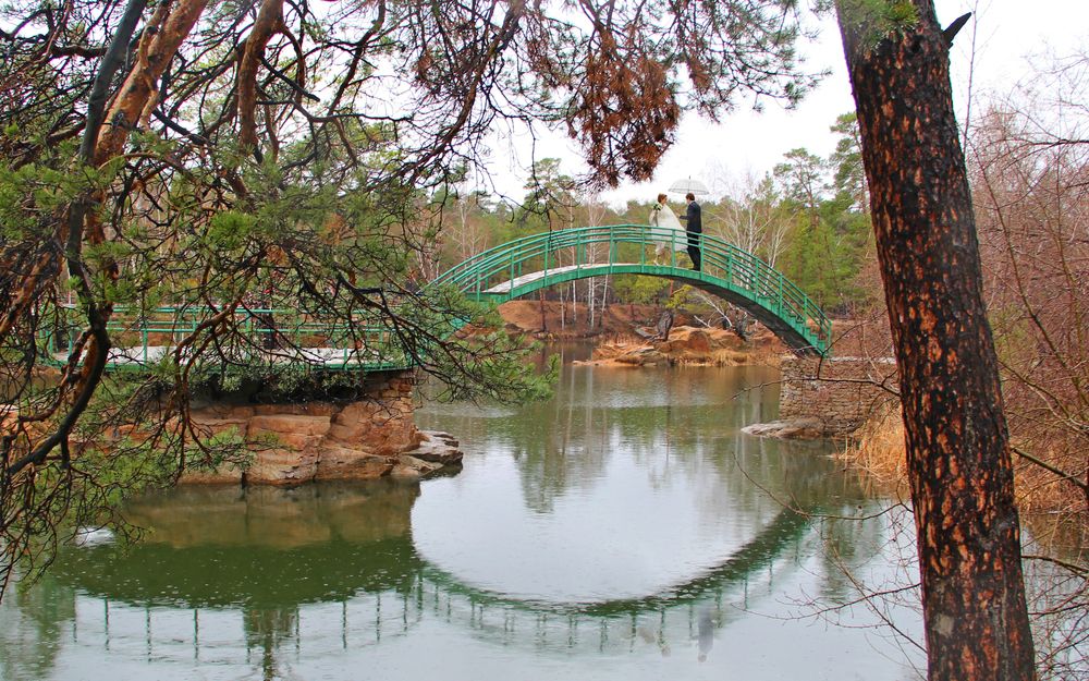 Photograph by Андрей Стародубцев