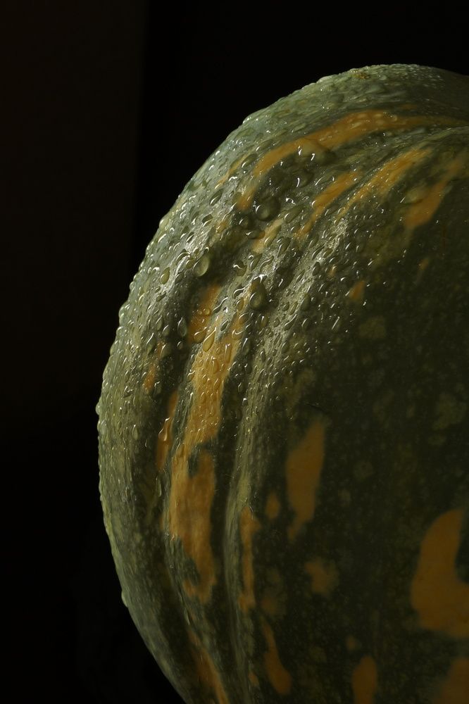 Photograph by Ольга Соколкова