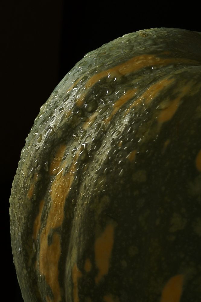 Photograph by Ольга Соколкова