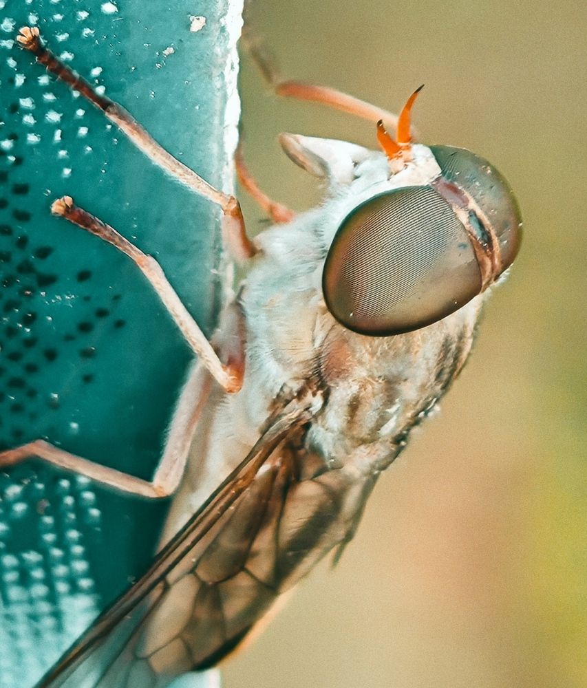 Photograph by Unsattled-click-2