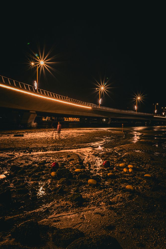 Фотография автора Sarrah Yehia