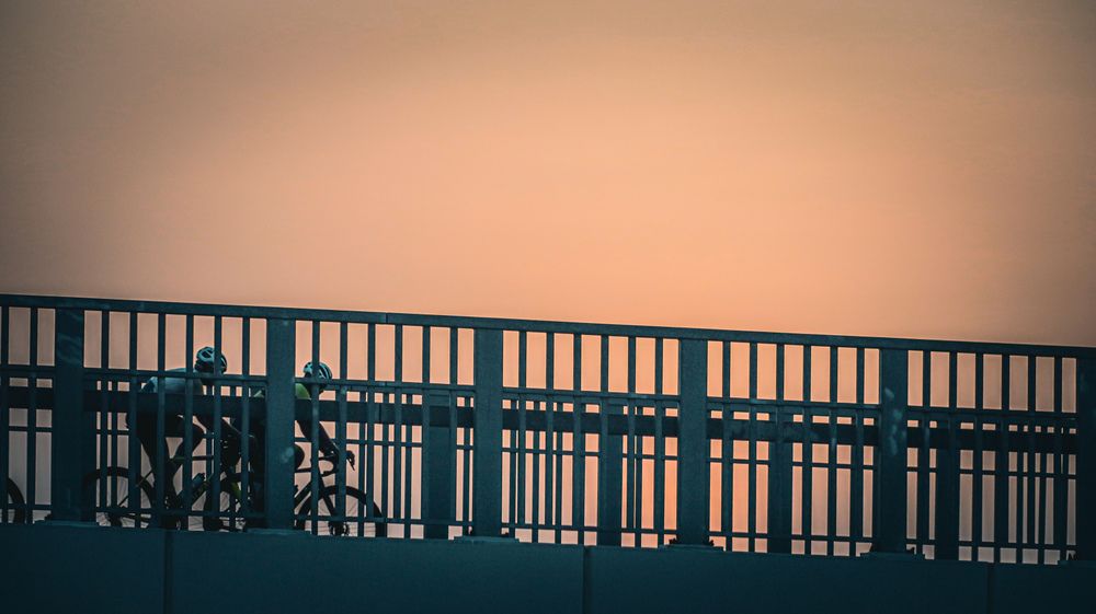 Фотография автора Sarrah Yehia