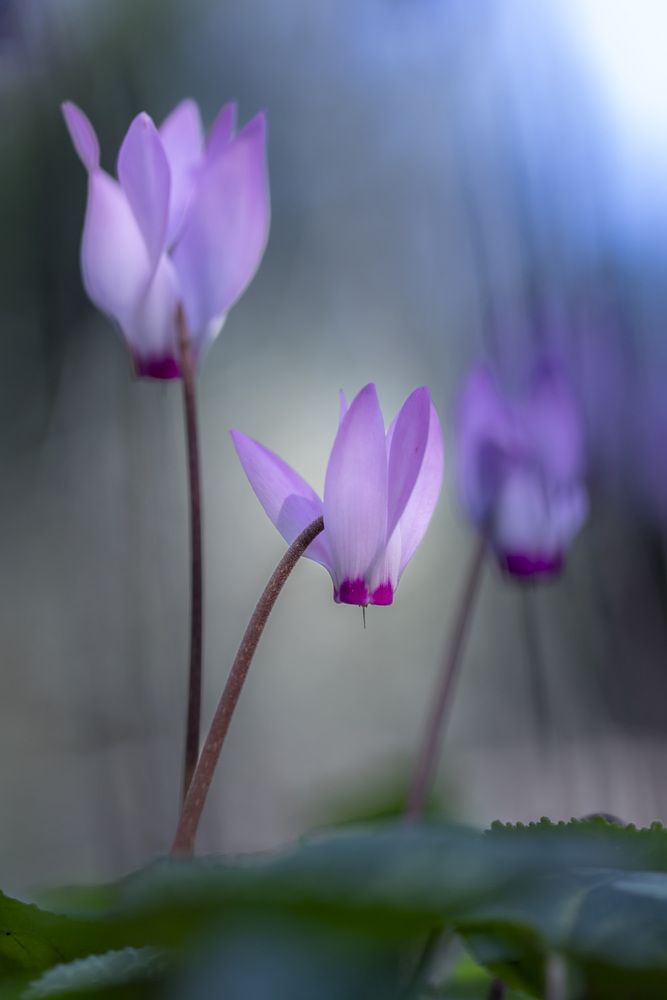 Фотография автора Nikolay Tatarchuk