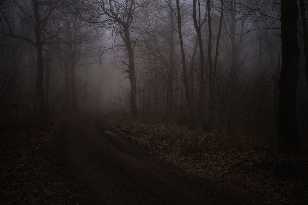 Photograph by Владимир Кульбит