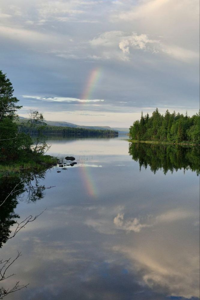 Photograph by Алла Узкая