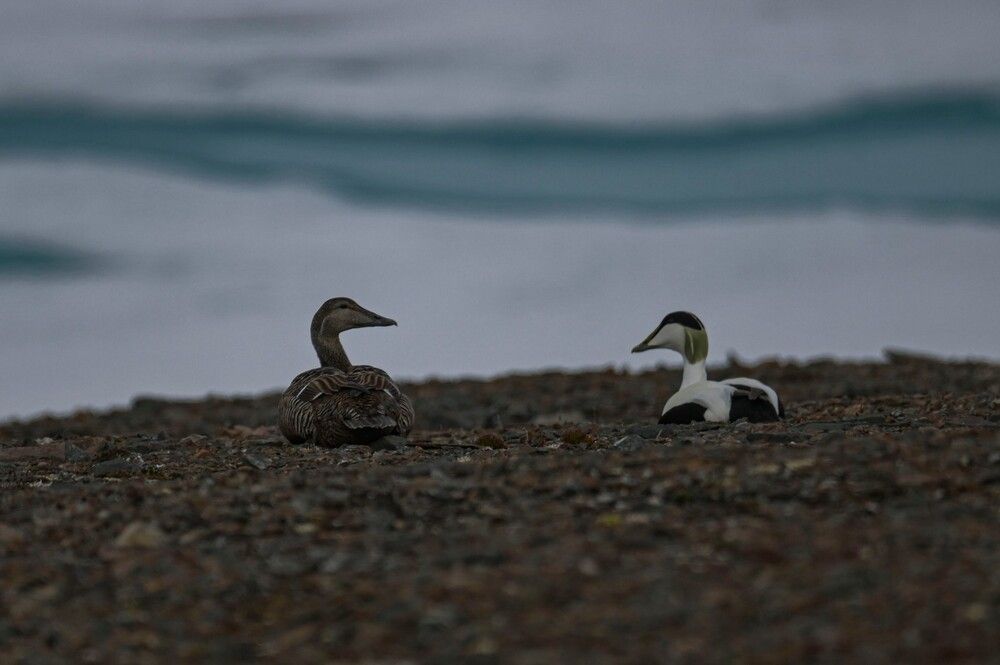 Photograph by Алексей Логинов