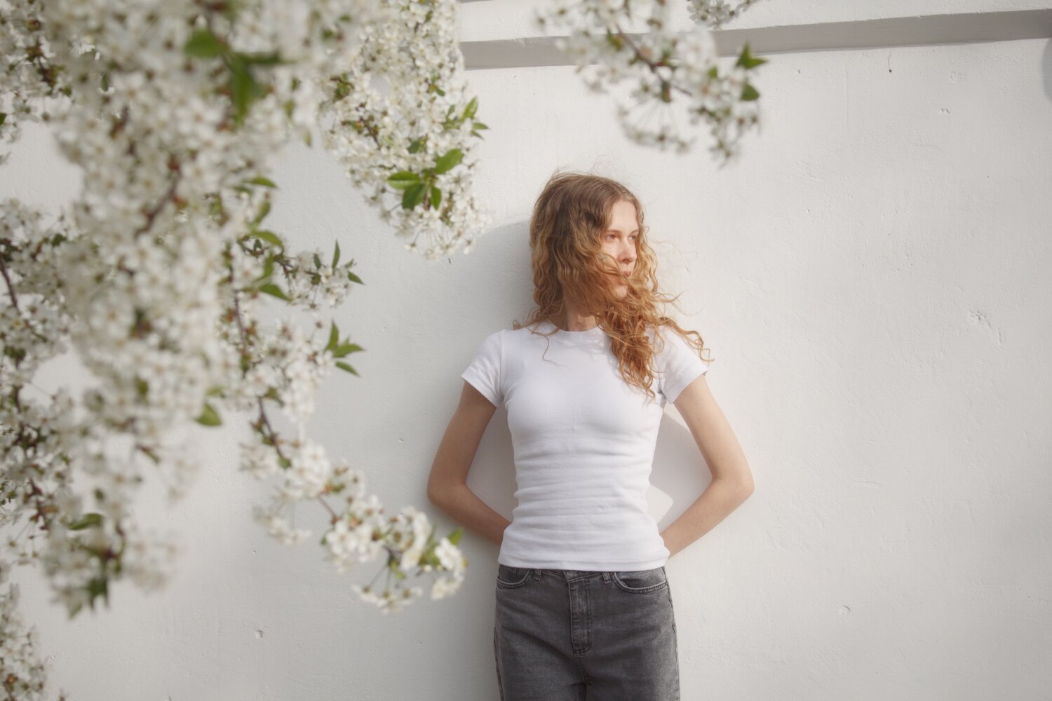 Photo #13260734