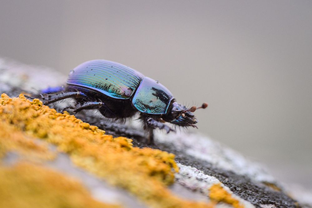 Photograph by Dmitry Ishniyazov