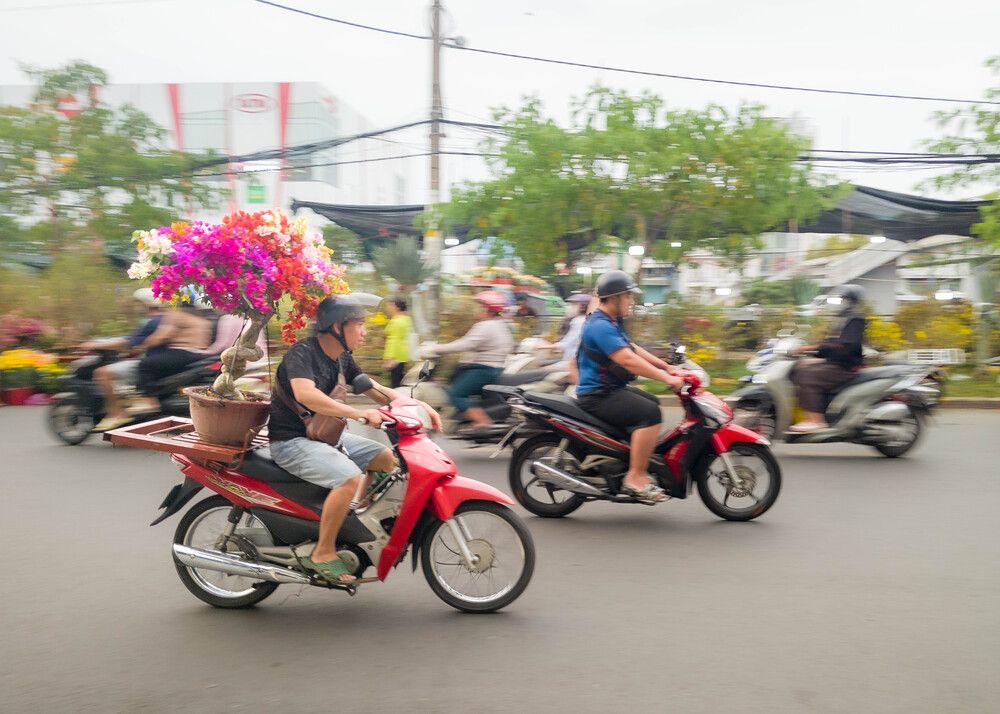 Фотография автора Do Trung