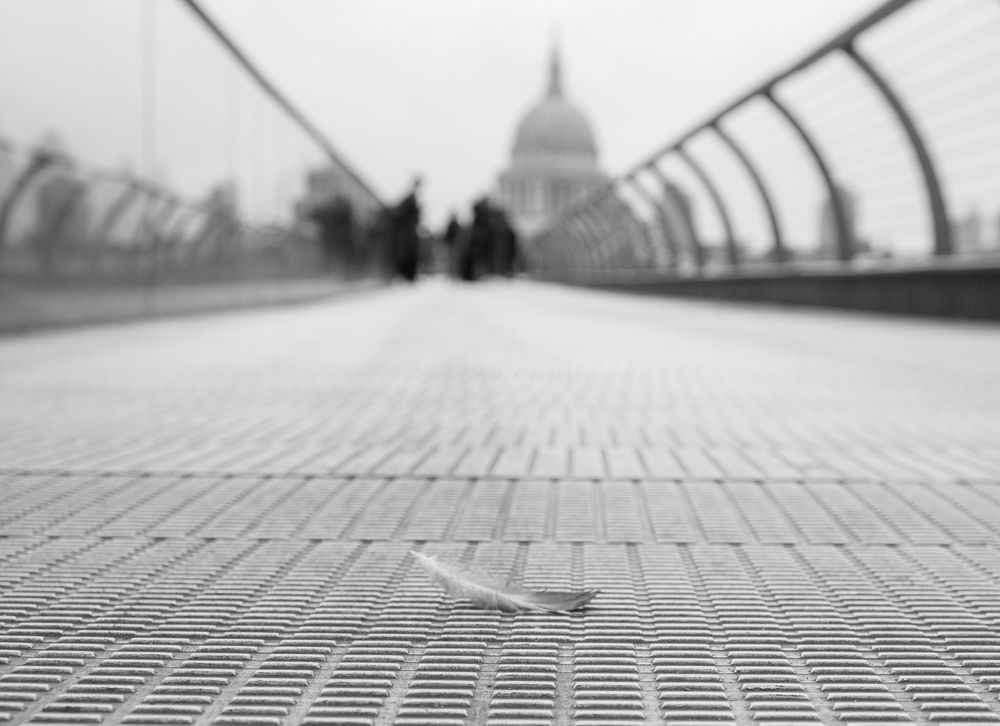Photograph by Llanez Eugenia