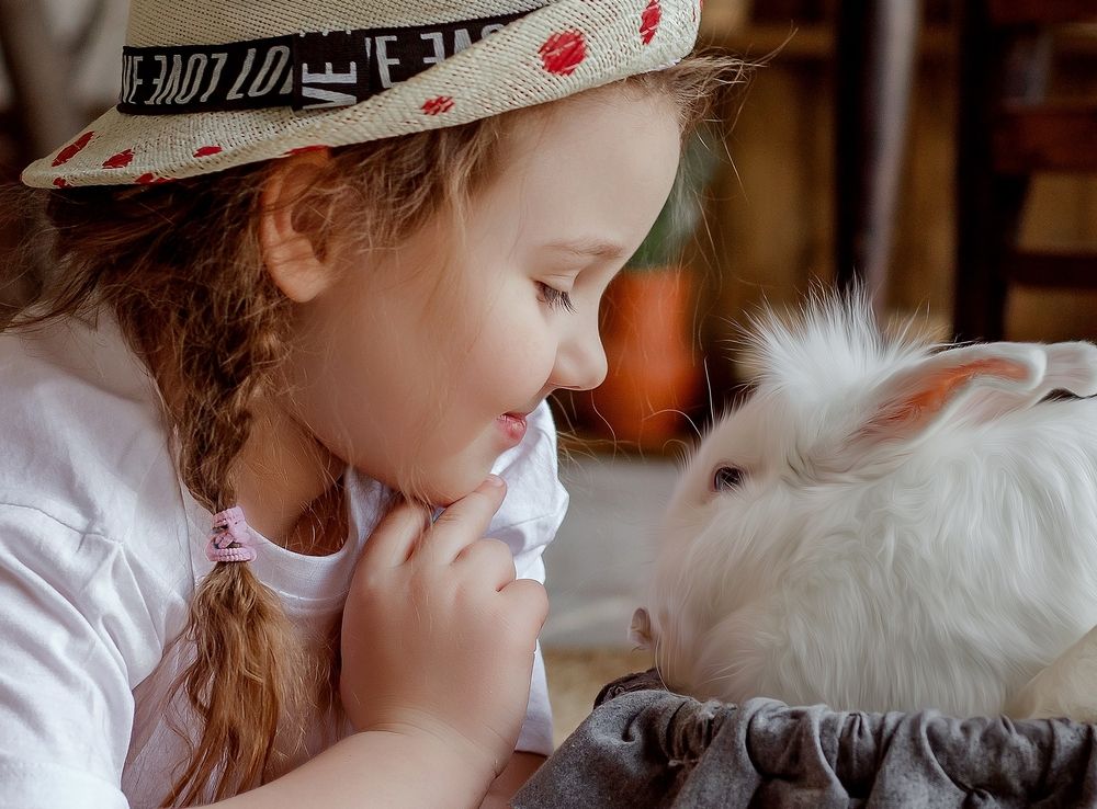 Photograph by Валерия Новикова