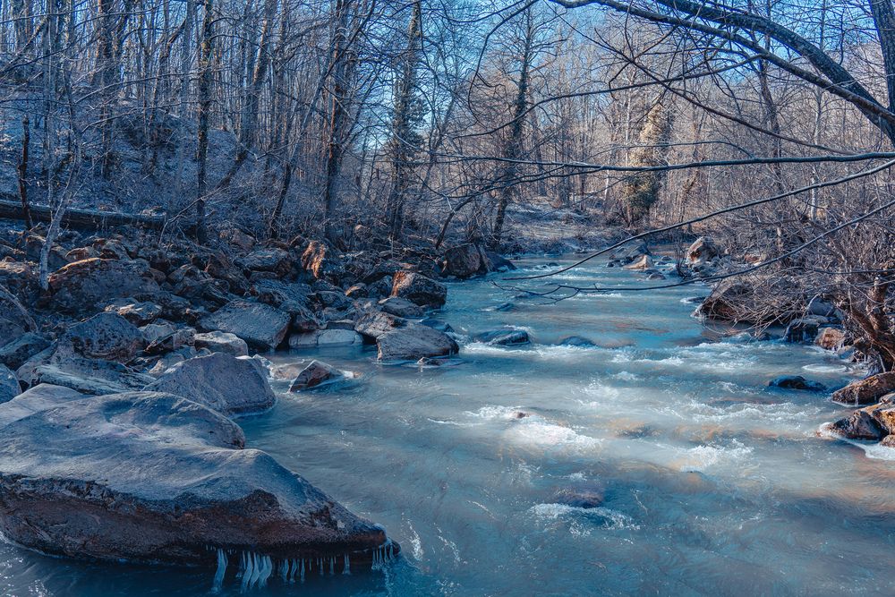 Фотография автора Вадим Коваленко