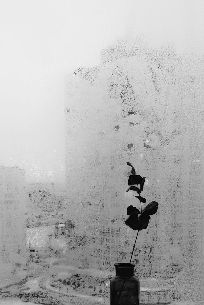 Photograph by Ольга Стебенева