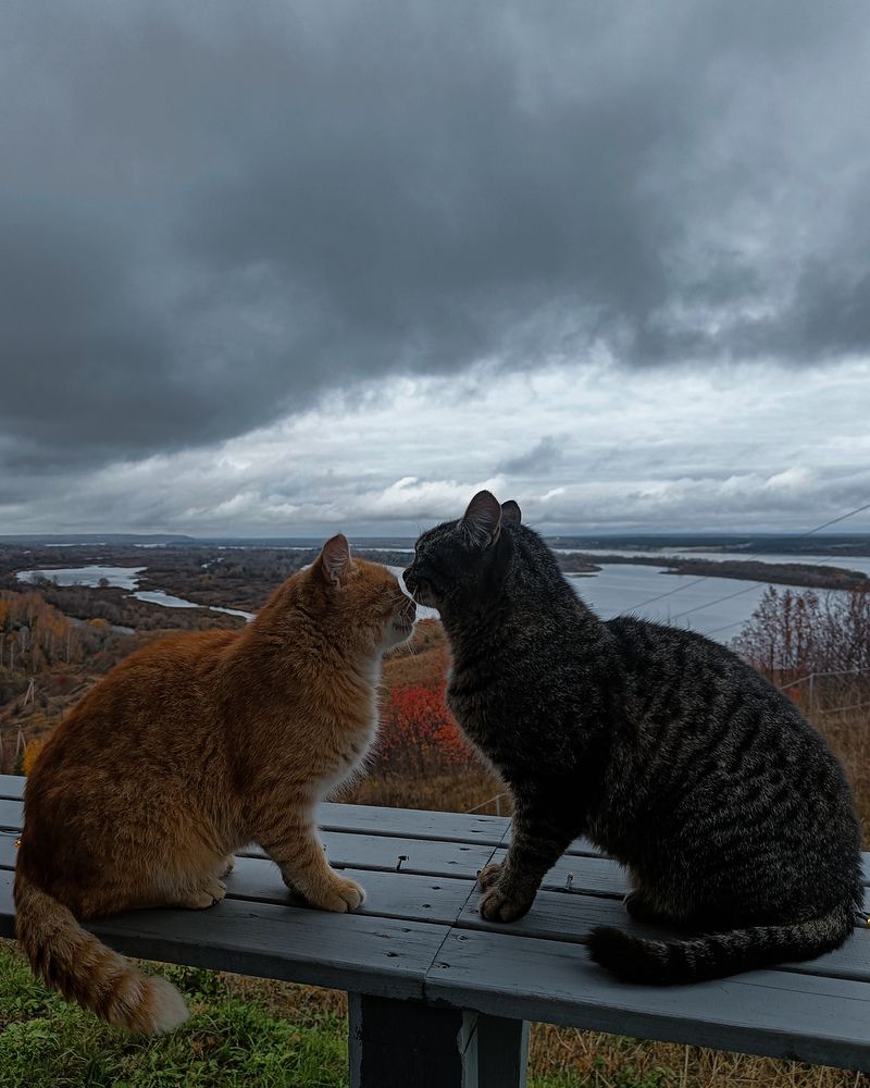 Photograph by Наталья Чехова