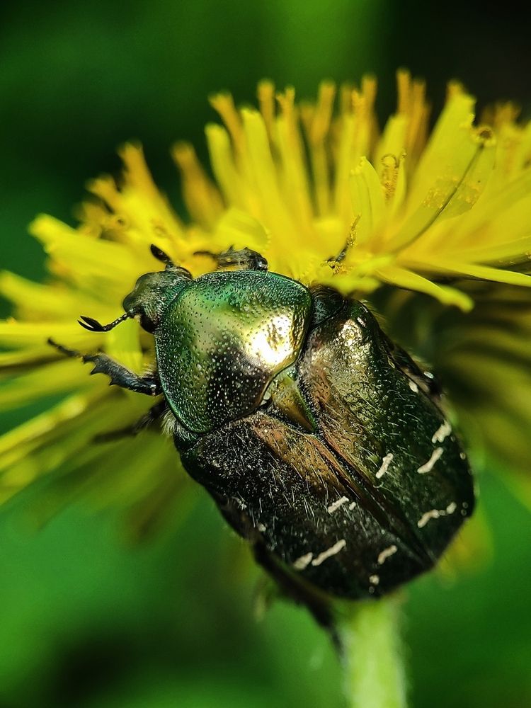 Photograph by Ирина Строкова