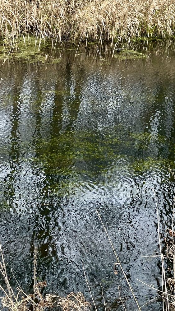 Photograph by Елизавета Большакова