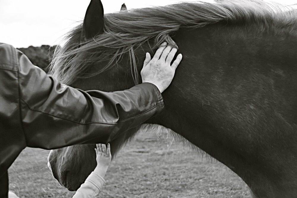 Photograph by Yuri Afanasyev