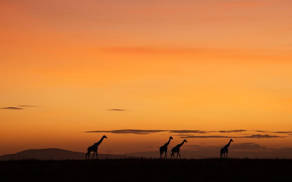 Photograph by ANOSH MATHEW