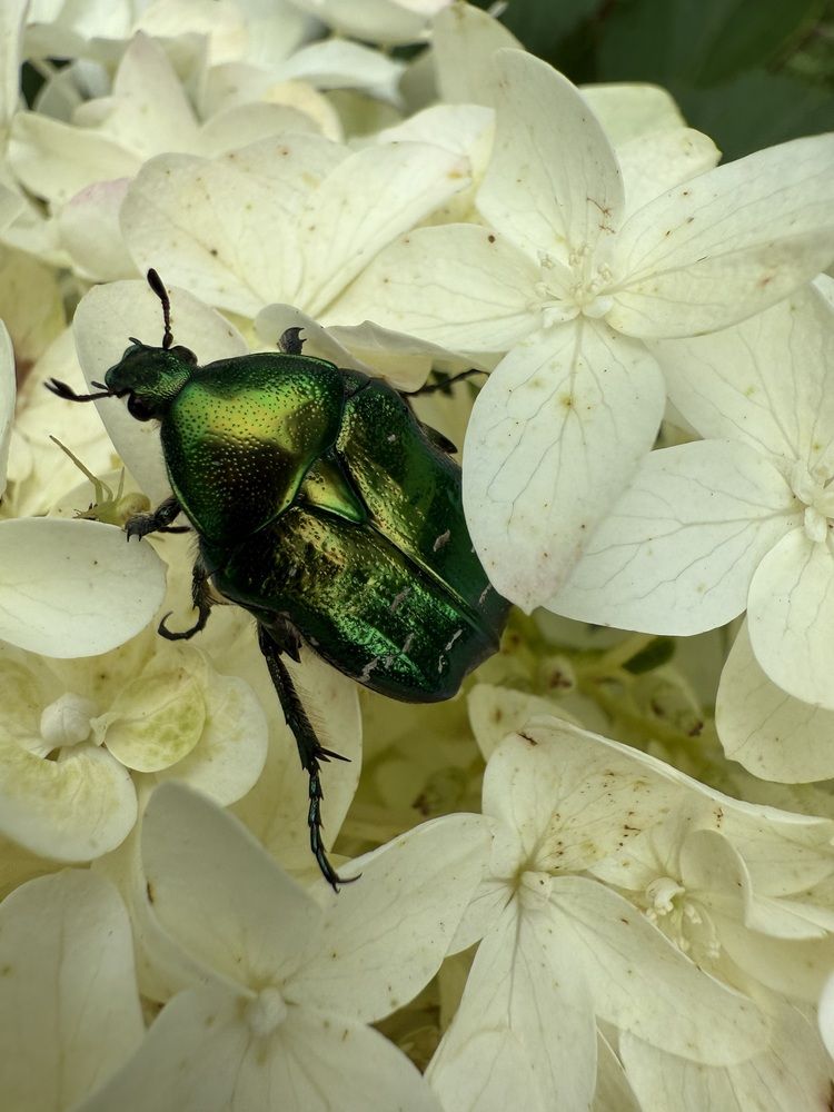 Photograph by Анастасия Германова
