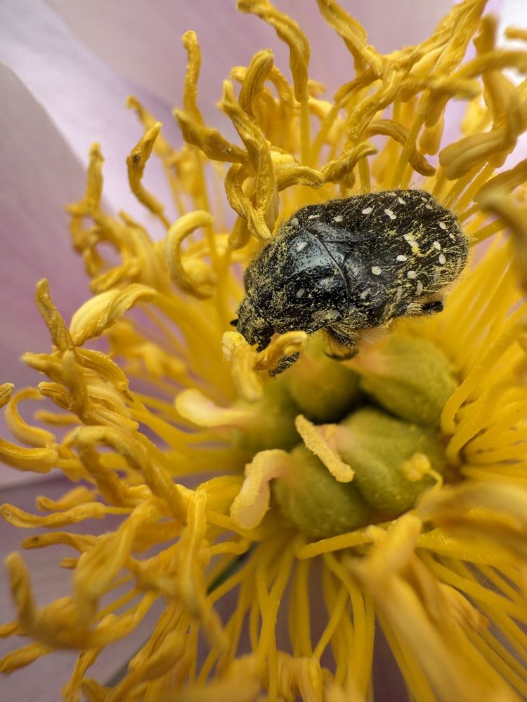 Photograph by Анастасия Германова