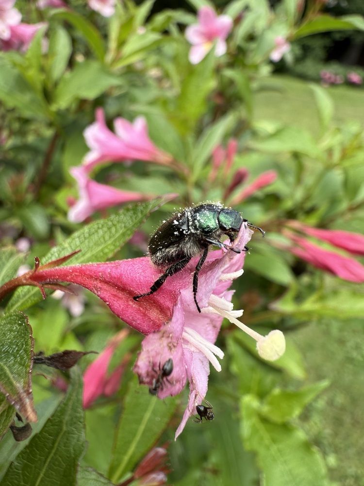 Photograph by Анастасия Германова