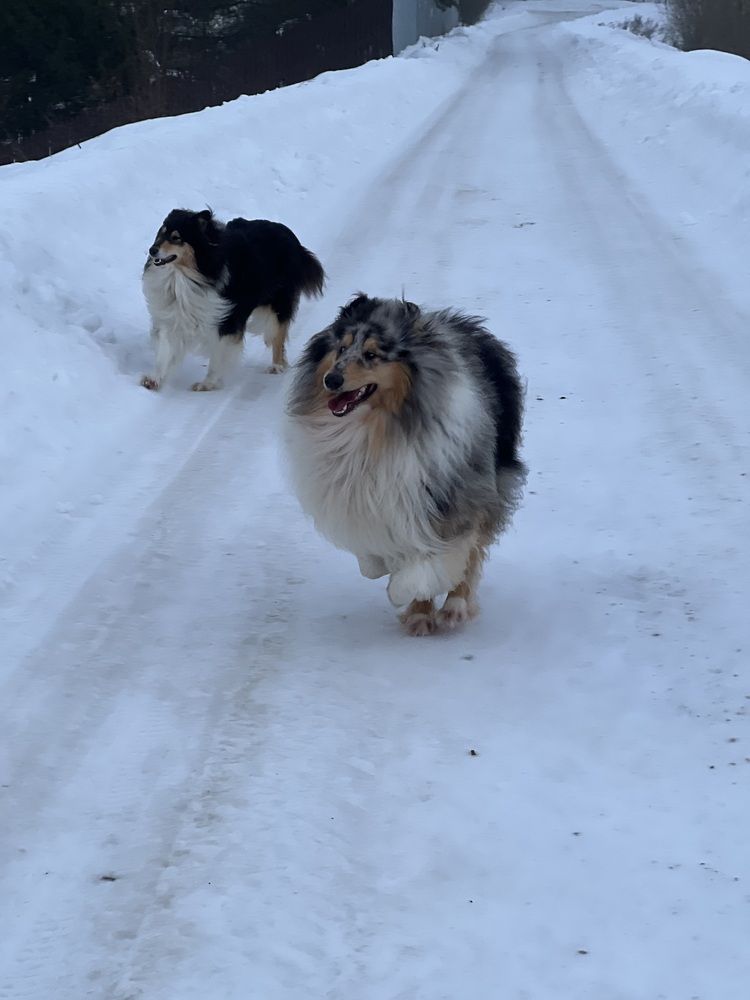 Photograph by Kira Ko