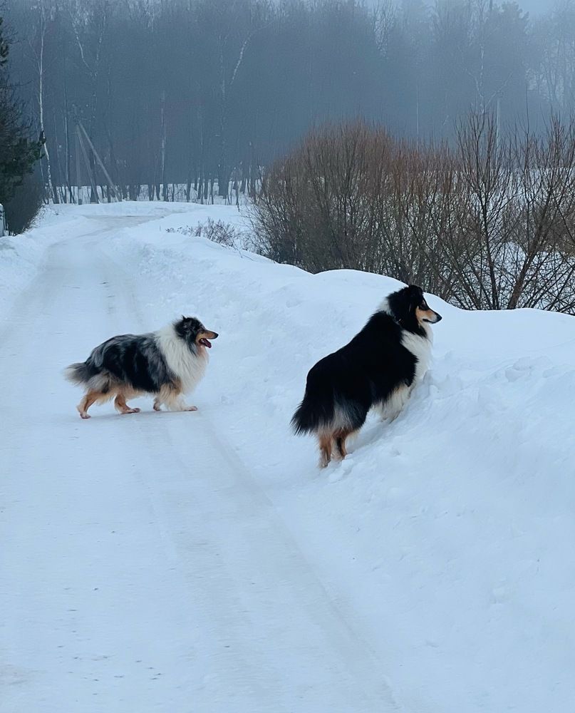 Photograph by Kira Ko