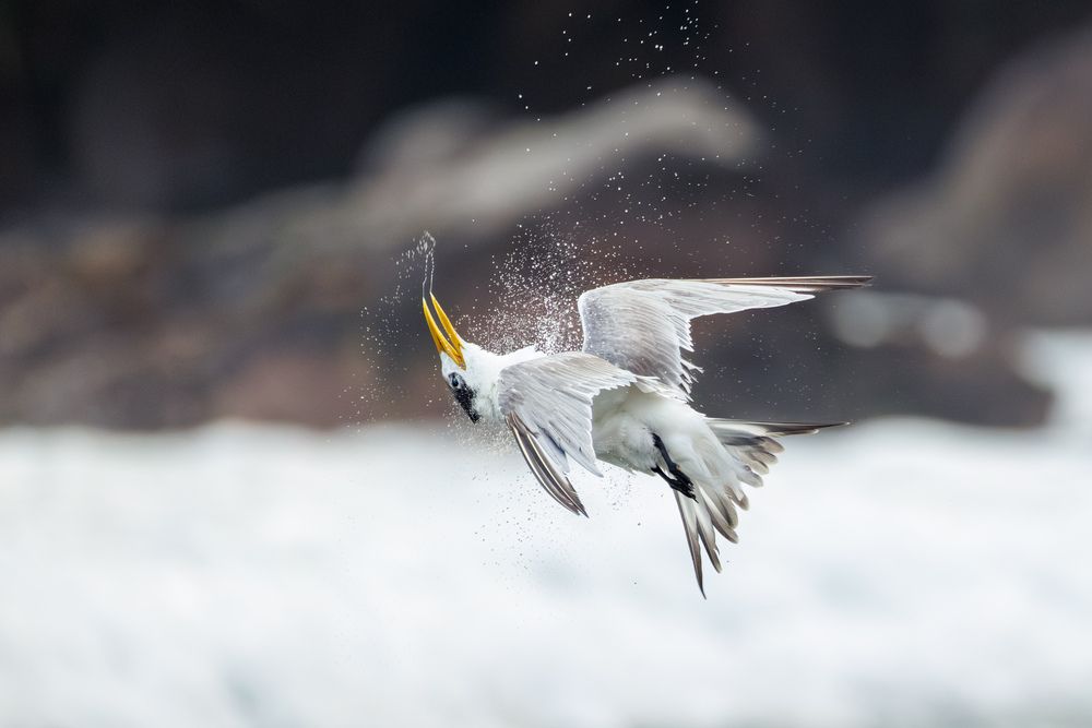 Photograph by ssmirs Сергей