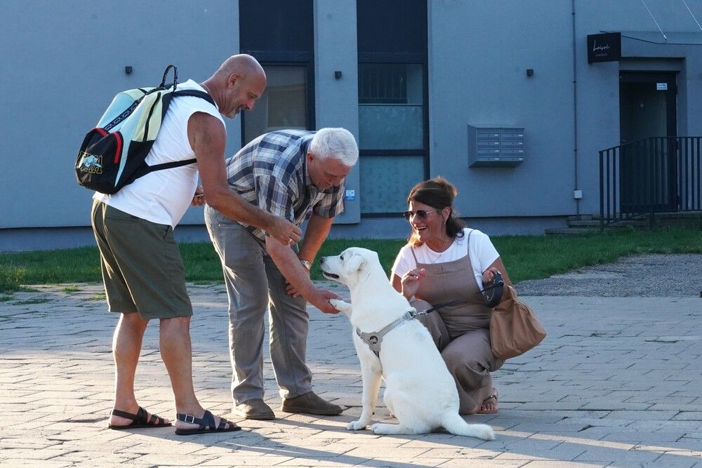 Photograph by jelena konickaja