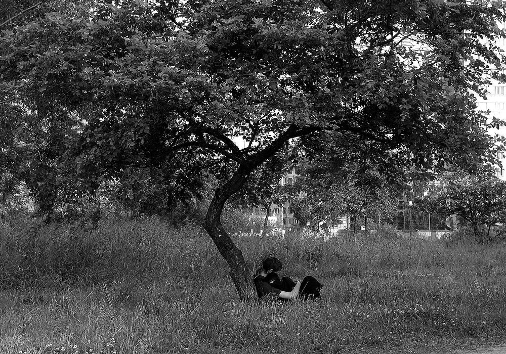 Photograph by Валерий Смирнов