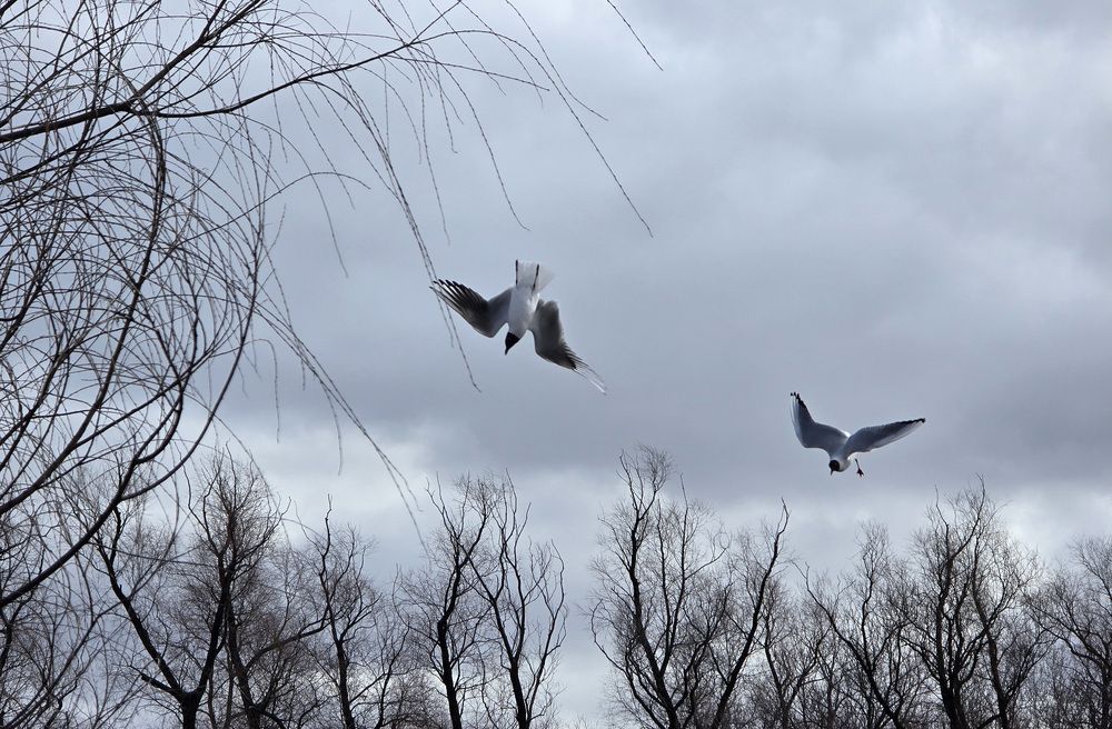 Photograph by Ольга Михайлова
