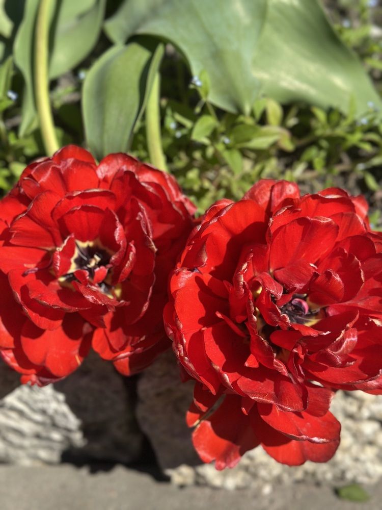 Photograph by Наталья Семенова