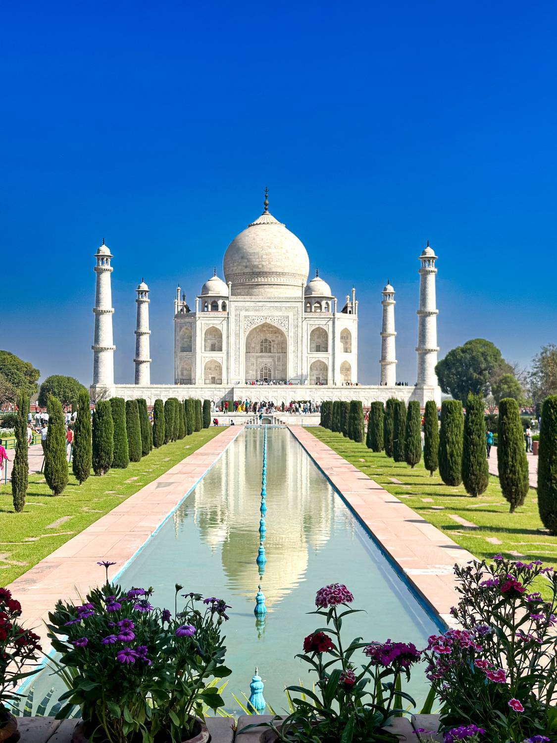 Фотография #13261509