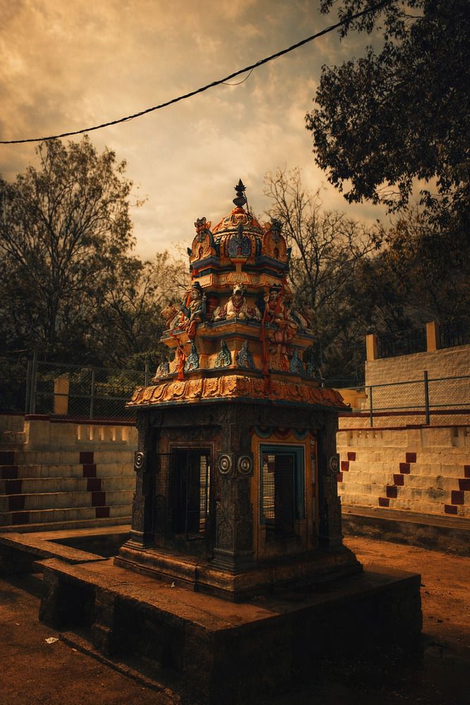 Photograph by Zafwaaannn