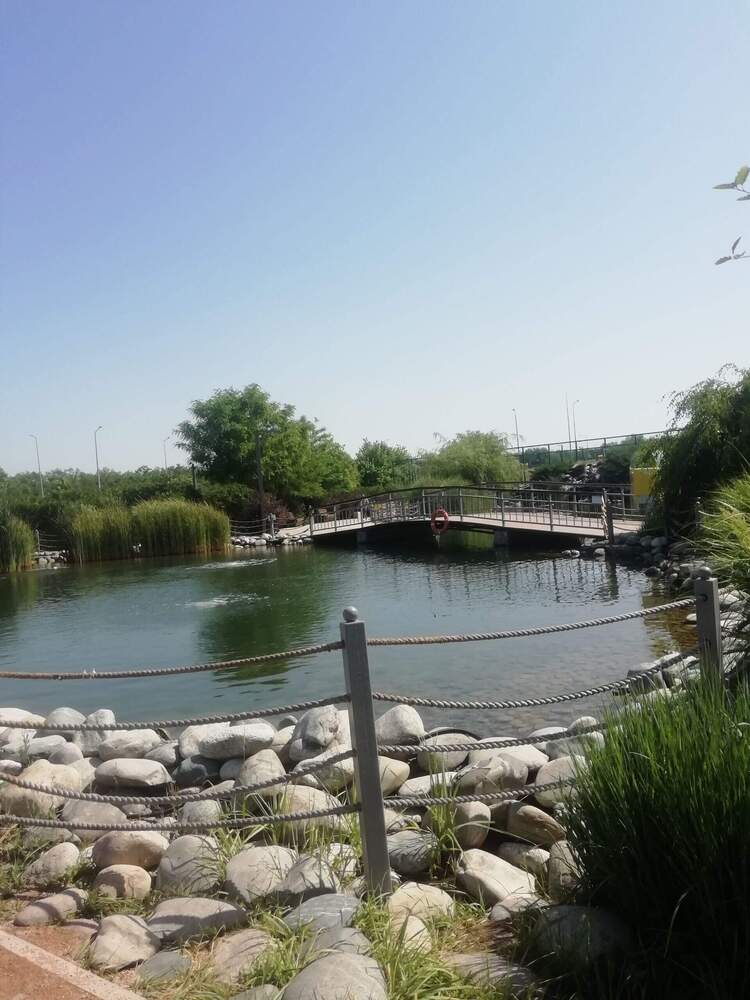 Photograph by Ирина Рягузова