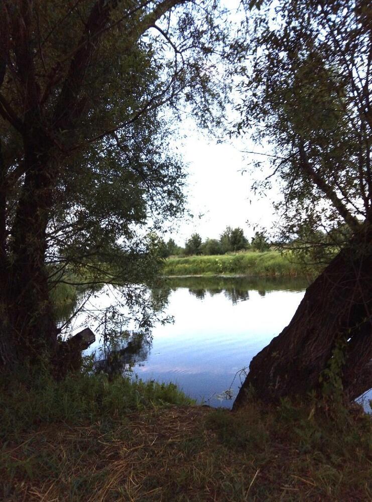 Photograph by Ирина Рягузова