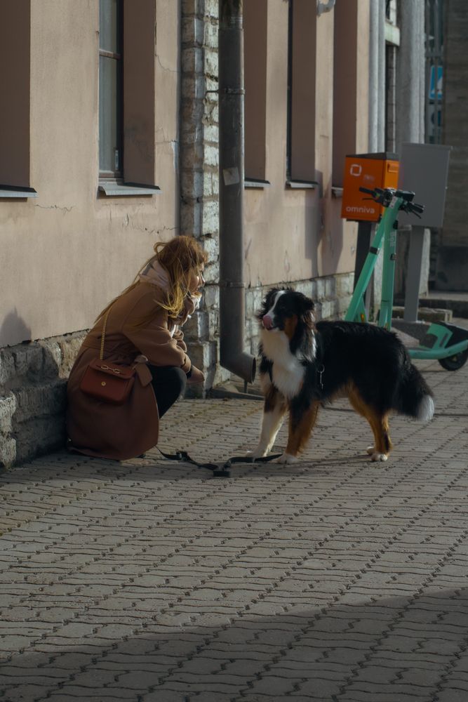 Фотография автора Nikolay Surovtsev