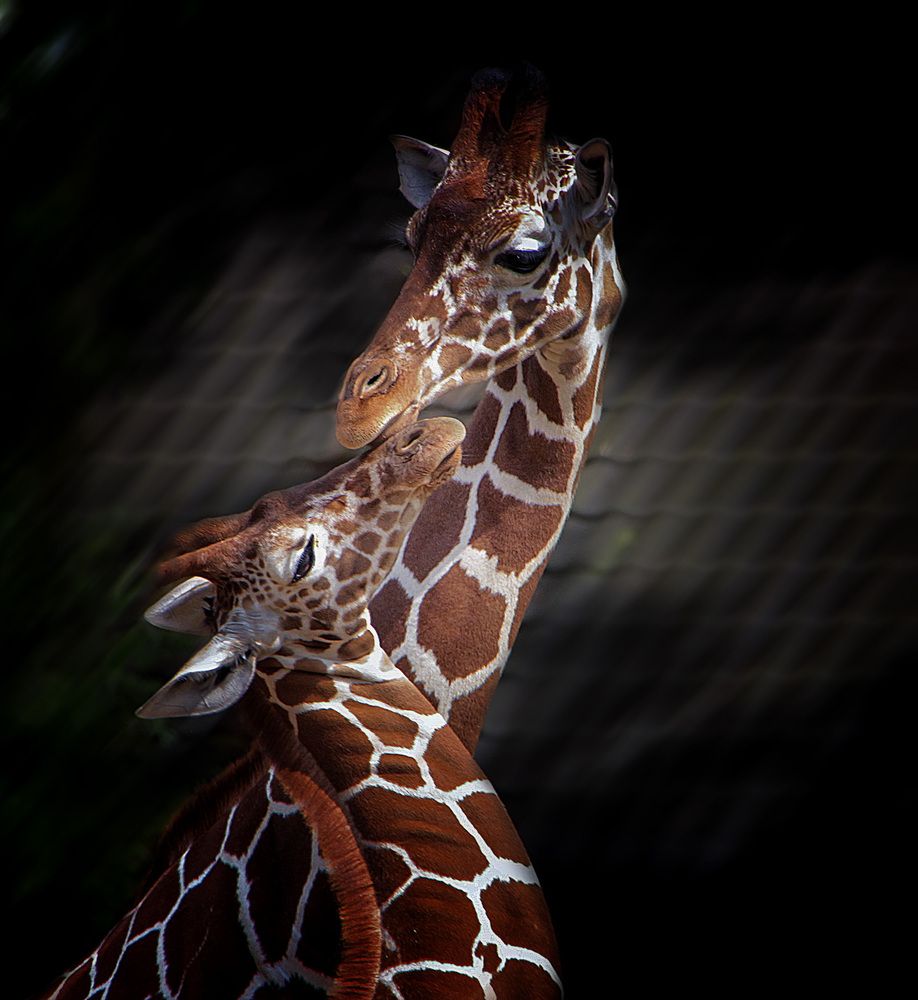 Photograph by Александр