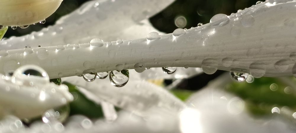 Photograph by Татьяна Стаскевич